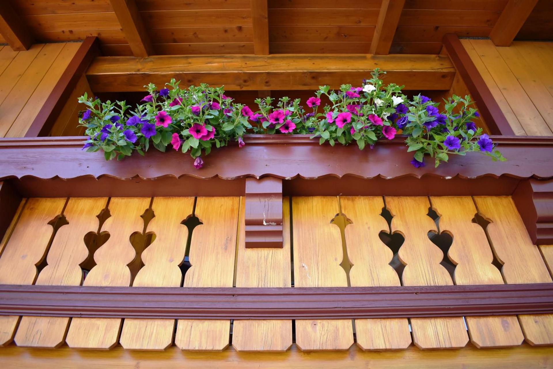 Studio mit Balkon TOP 5 - 5